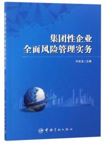 集团性企业全面风险管理实务