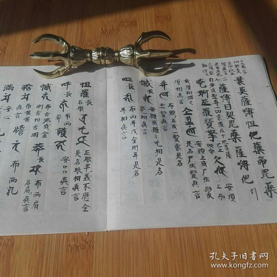 全中文,包括二套修法,息灾调伏   还教授不动明王十九字布字护身法