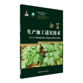 中药材种植技术书籍 白芷生产加工适宜技术/中药材生产加工适宜技术丛书