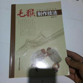 传统手工技艺丛书：毛猴制作技法