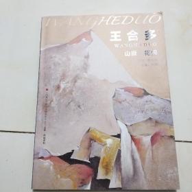 中国重彩艺术领域精英系列丛书:王合多重彩艺术作品集