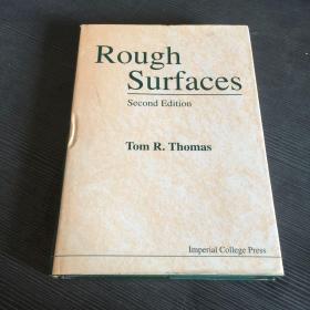 Rough Surfaces