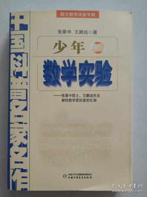 中国科普名家名作 院士数学讲座专辑-少年数学实验