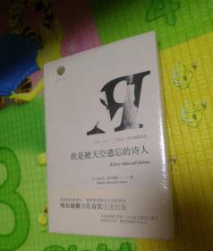 我是被天空遗忘的诗人（哈尔姆斯诗选）