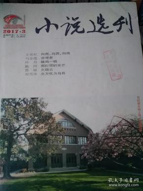 小说选刊2017年第3期