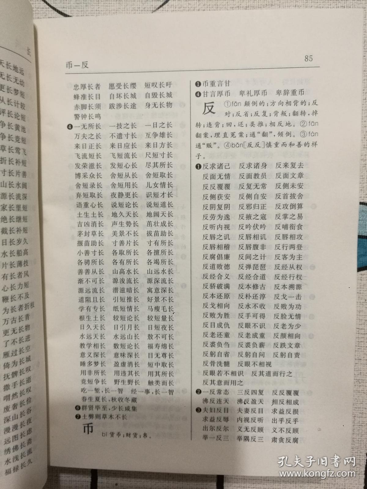 （正版精装一版一印）中国成语通检:任意字检索