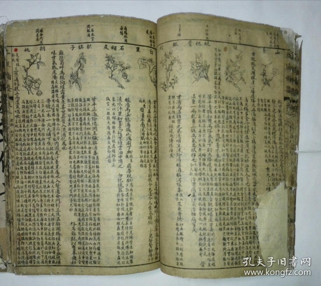 补图本草备要 线装 1.2卷 A23