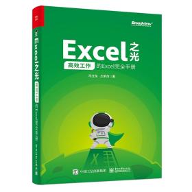 Excel之光：高效工作的Excel完全手册