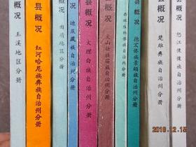 云南地州市县概况《文山州分册》《西双版纳州分册》《迪庆州分册》《大理州分册》《红河州分册》《玉溪地区分册》《怒江州分册》《曲靖地区分册》《德宏州分册》《楚雄州分册》 10本合售