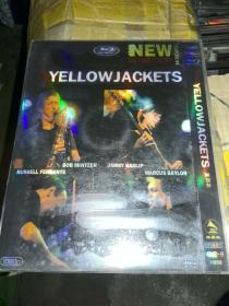d9 音乐特价清货 yellow jackets 黄夹克《the paris concert 2008》DVD