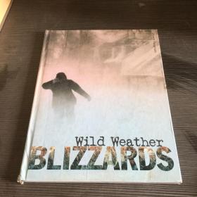 Wild Weather BLlZZARDS