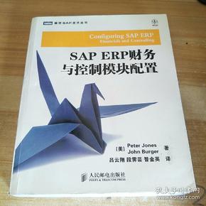 SAP ERP财务与控制模块配置