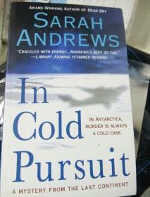 In  Cold  Pursuit（冷静的求索）