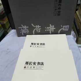 郑长安书法 上下 作品集论文集(带函套)