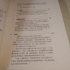 重返艳阳下：阿姆斯特朗自传