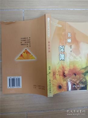 美丽深渊/今生今世爱情小说丛书