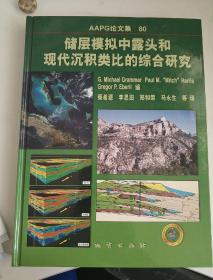 储层模拟中露头和现代沉积类比的综合研究