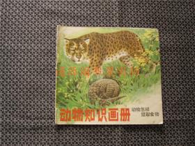 动物知识画册--动物怎样猎取食物（没有字迹勾画，缺封底）