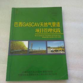 巴西GASCAV天然气管道项目管理实践.