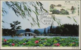 T144（4-2） 杭州西湖 曲院风荷 荷花 极限片 极限明信片 销2013.8.18风景戳