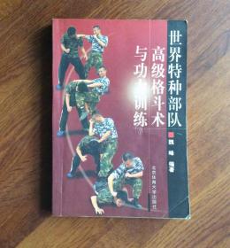 世界特种部队——高级格斗术与功力训练