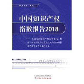 中国知识产权指数报告2018