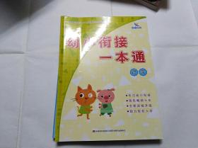 幼小衔接一本通  识字