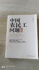 中国农民工问题新解