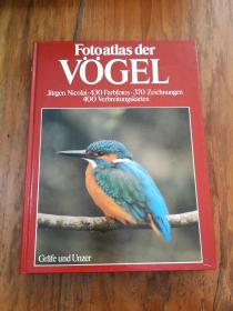 FOTOATLAS DER VÖGEL   DAS GROBE BILDSACHBUCH DER VÖGEL EUROPAS (800NATURFARBFOTOS UND ZEICHNUNGEN,400VERBREITUNGSKARTEN)鸟类的照片 欧洲鸟类的重要图片(德文原版精装大16开本)