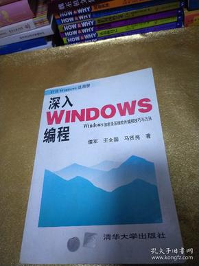 深入Windows编程:Windows加密及压缩软件编程技巧与方法