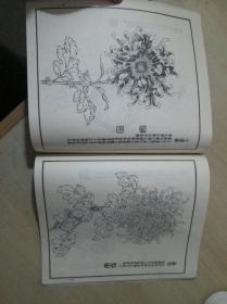 由里山人菊谱