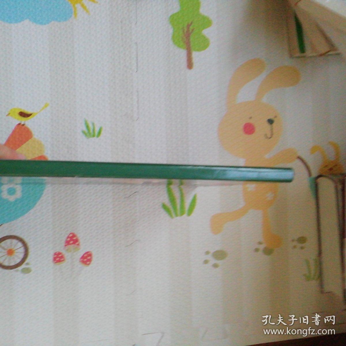 乡土奇葩，八十年代山西省乡镇：企业产品摄影画册，有汾杏白酒：汾杏竹酒：汾杏大典：宝杏酒沙棘葡萄酒等图片，〔B1397〕