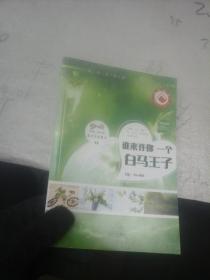 谁来许你一个白马王子