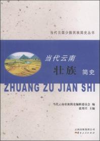 当代云南少数民族简史丛书：当代云南壮族简史