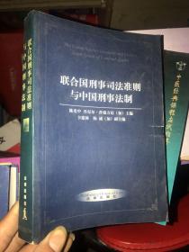 联合国刑事司法准则与中国刑事法制