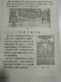 实用小工艺-农艺