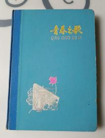 老日记本，青春之哥36开120页插图日记薄，赠送本首页写有字，内无写字无缺页，品不错