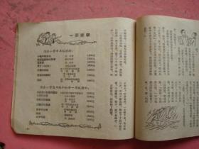 1954年重庆市期刋《红领巾》（半月刋）（第14期）