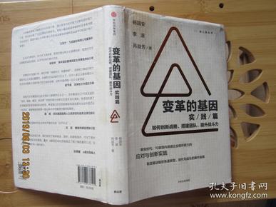 变革的基因：如何创新战略、搭建团队、提升战斗力（实践篇）