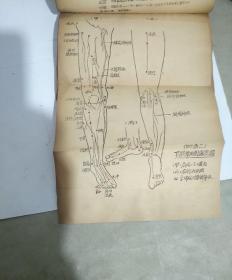 新编针灸学 内有邓小平，刘伯承，张际春题词。存量极少，十分珍贵，值得收藏。