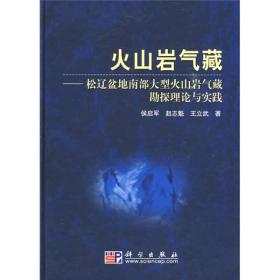 火山岩气藏：松辽盆地南部大型火山岩气藏勘探理论与实践