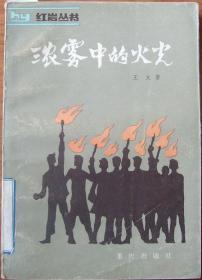 浓雾中的火光