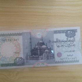 埃及20埃镑