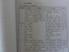 河南省渑池县仰韶村遗址保护规划（中国文物研究所2007年）