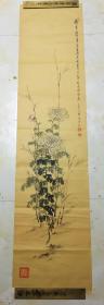 1899年 日本著名画家 下山武治      绘菊花    
 133×32厘米