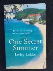 One Secret Summer 英文原版小说系列