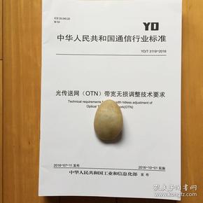 YD/T 3119-2016光传送网（OTN）带宽无损调整技术要求