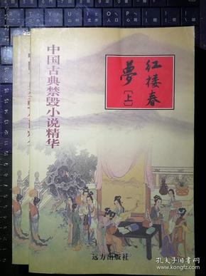 中国古典禁毁小说精华：红楼春梦（上下）·鸳鸯楼