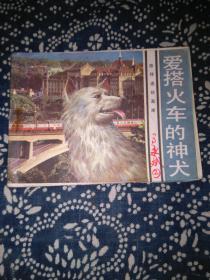 爱搭火车的神犬