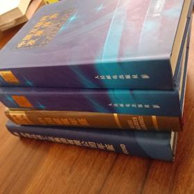 中国互联网发展报告.2007